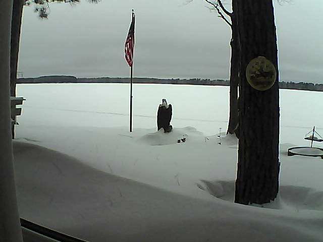 Whiteface Cam Image - Tue, 02/05/2019 12:01pm 