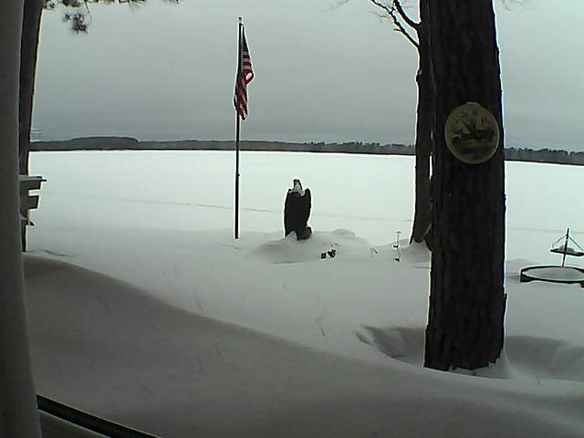 Whiteface Cam Image - Tue, 02/05/2019 2:51pm 