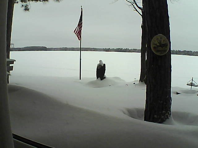 Whiteface Cam Image - Wed, 02/06/2019 10:09am 