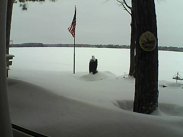 Whiteface Cam Image - Wed, 02/06/2019 10:19am 