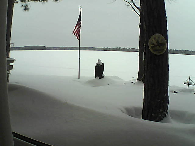 Whiteface Cam Image - Wed, 02/06/2019 10:49am 