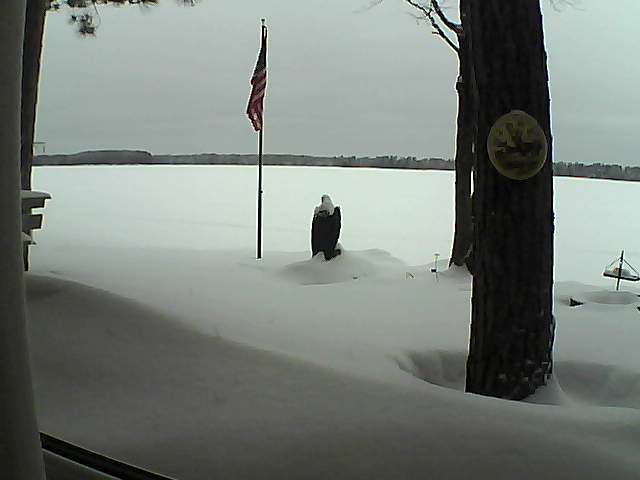 Whiteface Cam Image - Wed, 02/06/2019 12:49pm 