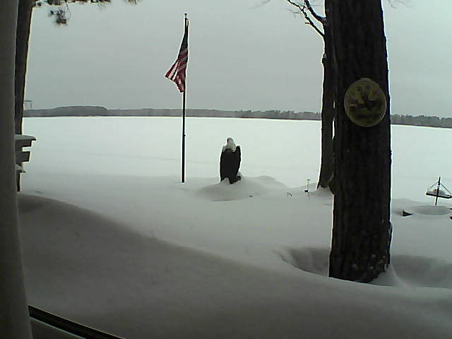 Whiteface Cam Image - Wed, 02/06/2019 1:49pm 