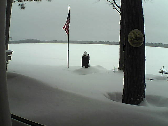 Whiteface Cam Image - Wed, 02/06/2019 1:59pm 