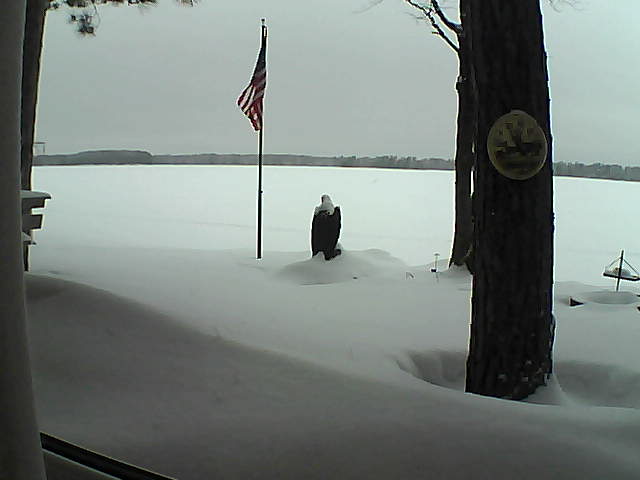 Whiteface Cam Image - Wed, 02/06/2019 2:19pm 