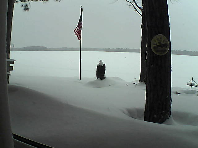 Whiteface Cam Image - Wed, 02/06/2019 2:49pm 