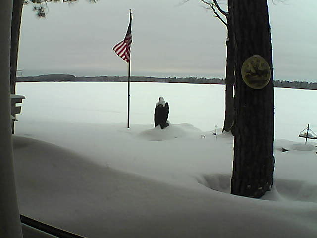 Whiteface Cam Image - Wed, 02/06/2019 4:59pm 