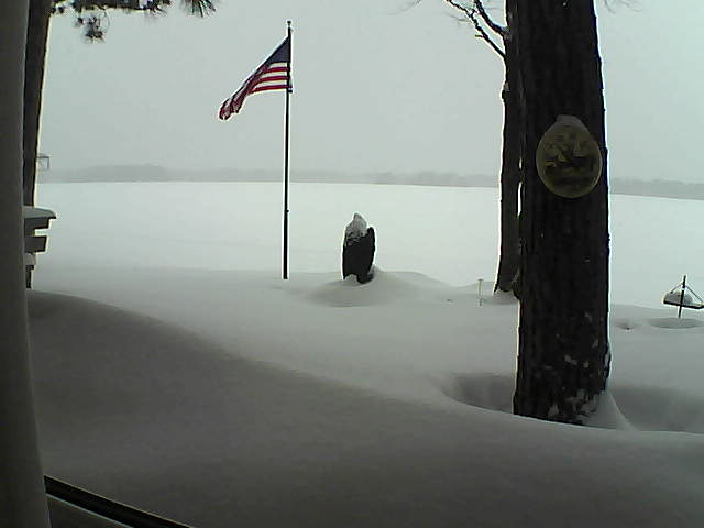 Whiteface Cam Image - Thu, 02/07/2019 8:17am 