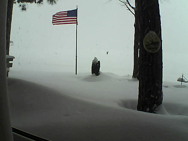 Whiteface Cam Image - Thu, 02/07/2019 9:47am 