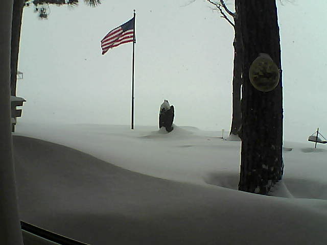 Whiteface Cam Image - Thu, 02/07/2019 11:07am 