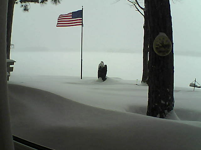 Whiteface Cam Image - Thu, 02/07/2019 11:57am 