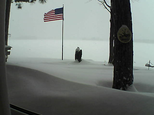 Whiteface Cam Image - Thu, 02/07/2019 12:17pm 