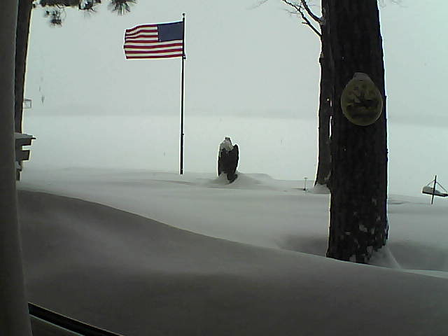 Whiteface Cam Image - Thu, 02/07/2019 12:47pm 