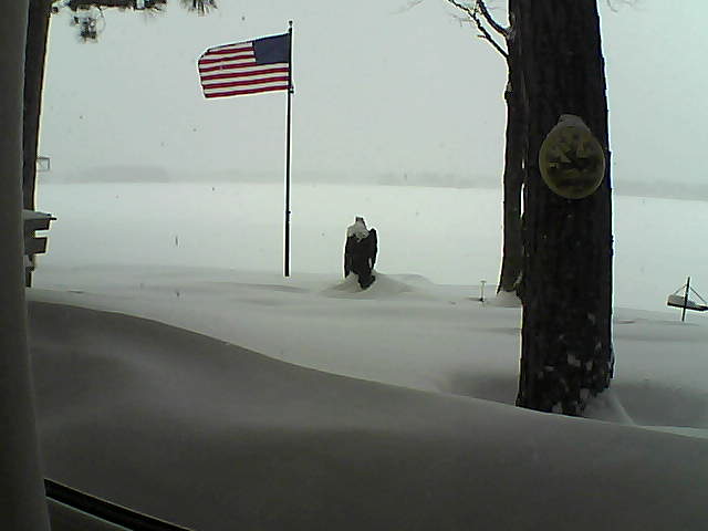 Whiteface Cam Image - Thu, 02/07/2019 1:08pm 