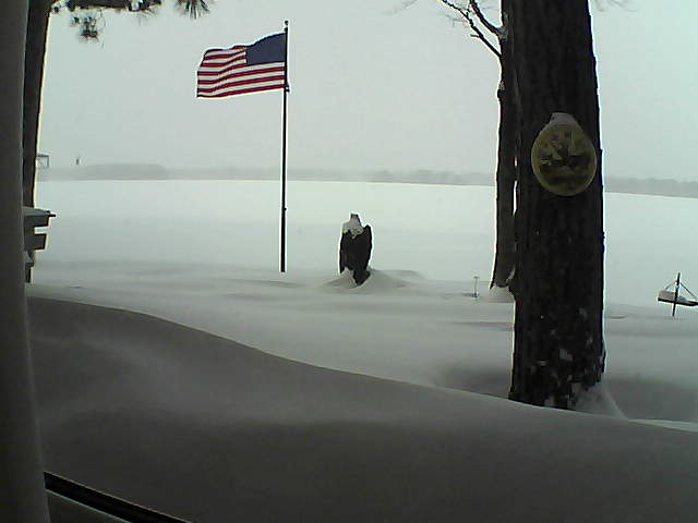 Whiteface Cam Image - Thu, 02/07/2019 1:18pm 