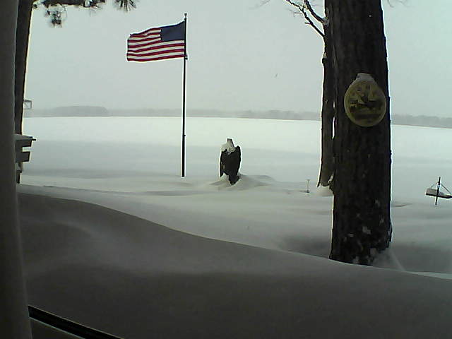 Whiteface Cam Image - Thu, 02/07/2019 1:28pm 