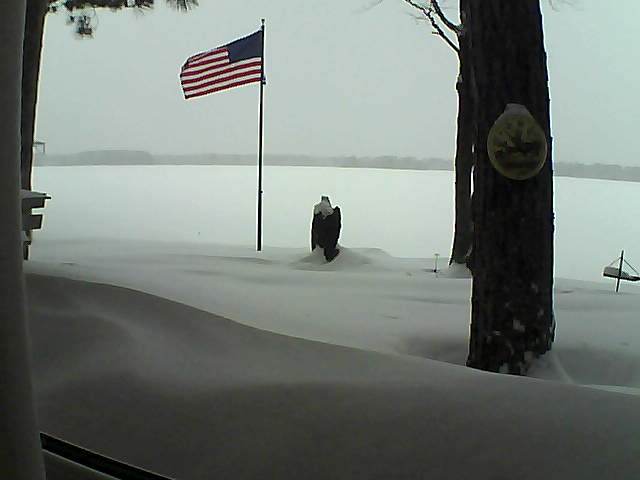 Whiteface Cam Image - Thu, 02/07/2019 1:48pm 