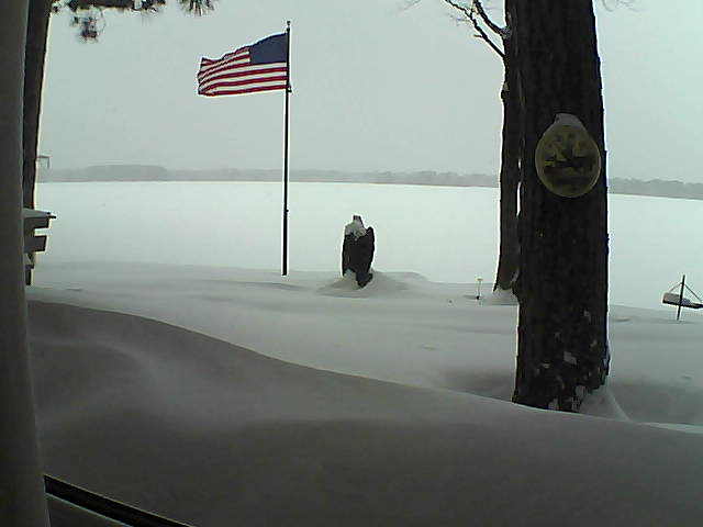 Whiteface Cam Image - Thu, 02/07/2019 1:58pm 