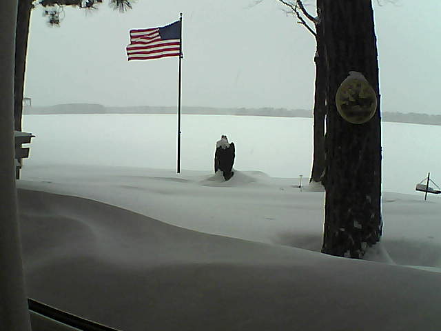 Whiteface Cam Image - Thu, 02/07/2019 2:08pm 