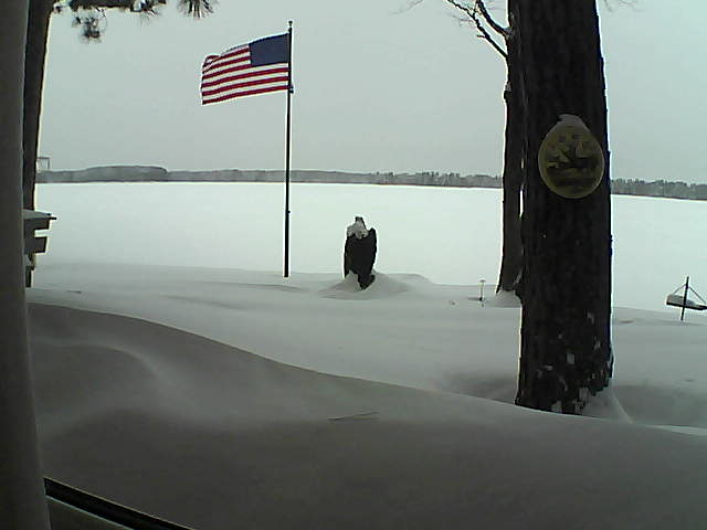 Whiteface Cam Image - Thu, 02/07/2019 2:38pm 