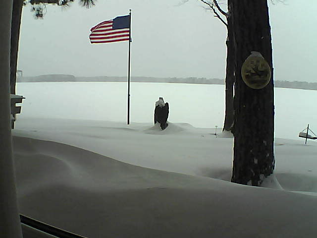 Whiteface Cam Image - Thu, 02/07/2019 2:58pm 