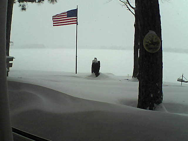 Whiteface Cam Image - Thu, 02/07/2019 3:08pm 