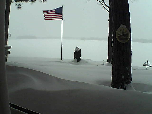 Whiteface Cam Image - Thu, 02/07/2019 3:18pm 