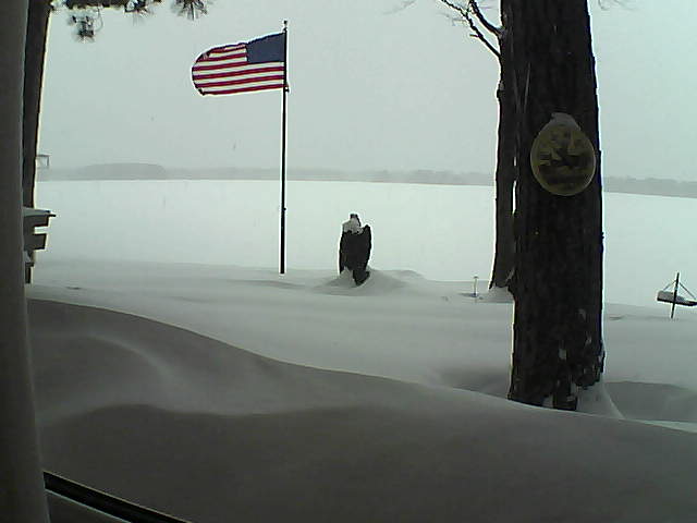 Whiteface Cam Image - Thu, 02/07/2019 3:28pm 