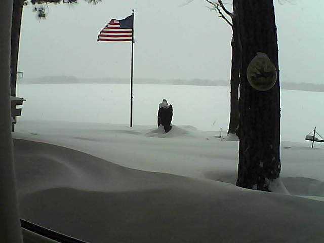 Whiteface Cam Image - Thu, 02/07/2019 3:38pm 