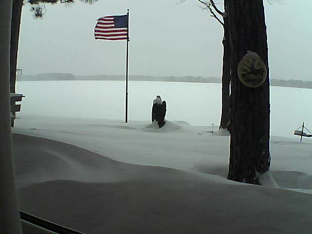 Whiteface Cam Image - Thu, 02/07/2019 3:58pm 