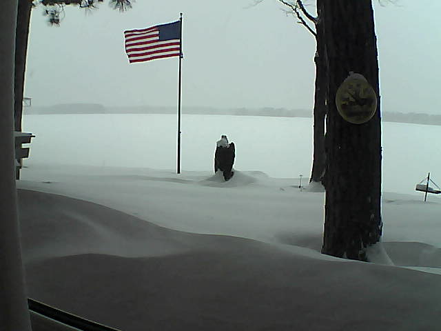 Whiteface Cam Image - Thu, 02/07/2019 4:08pm 