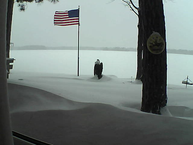 Whiteface Cam Image - Thu, 02/07/2019 4:38pm 