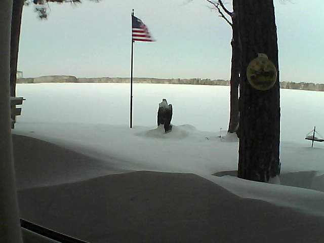 Whiteface Cam Image - Fri, 02/08/2019 7:05am 