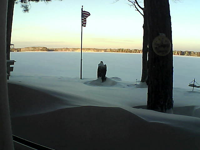 Whiteface Cam Image - Fri, 02/08/2019 7:45am 