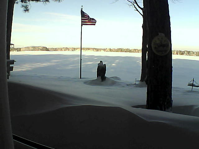 Whiteface Cam Image - Fri, 02/08/2019 8:35am 