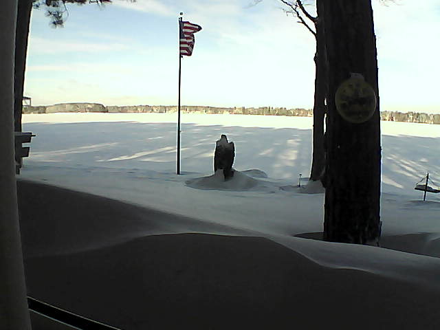 Whiteface Cam Image - Fri, 02/08/2019 8:55am 