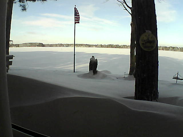 Whiteface Cam Image - Fri, 02/08/2019 9:15am 