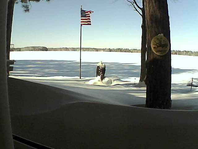 Whiteface Cam Image - Fri, 02/08/2019 11:55am 