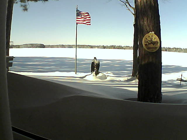 Whiteface Cam Image - Fri, 02/08/2019 12:15pm 