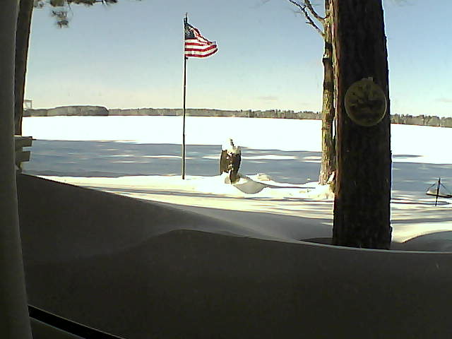 Whiteface Cam Image - Fri, 02/08/2019 1:05pm 