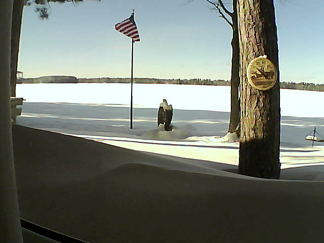 Whiteface Cam Image - Fri, 02/08/2019 1:55pm 