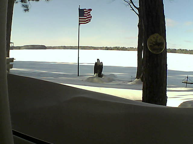 Whiteface Cam Image - Fri, 02/08/2019 2:15pm 