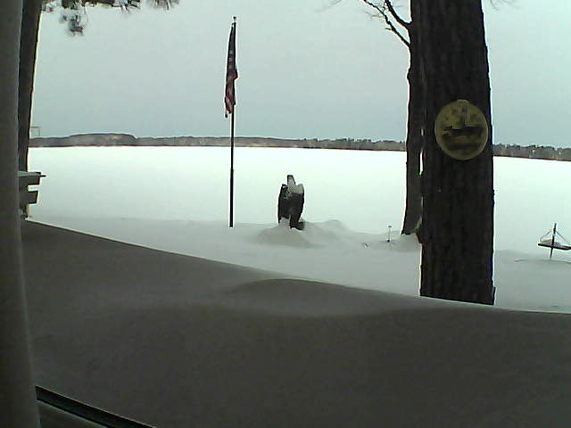 Whiteface Cam Image - Sat, 02/09/2019 7:05am 