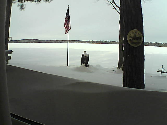 Whiteface Cam Image - Sat, 02/09/2019 9:55am 