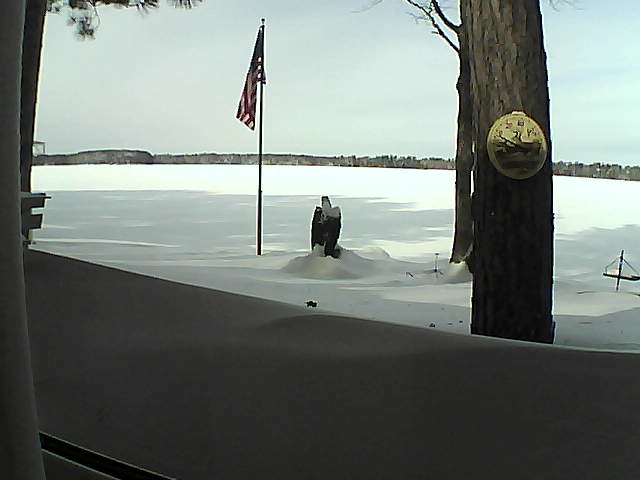 Whiteface Cam Image - Sat, 02/09/2019 11:15am 