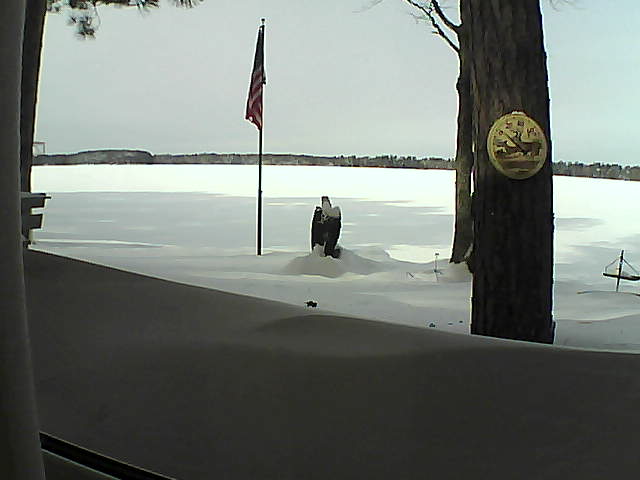 Whiteface Cam Image - Sat, 02/09/2019 11:35am 