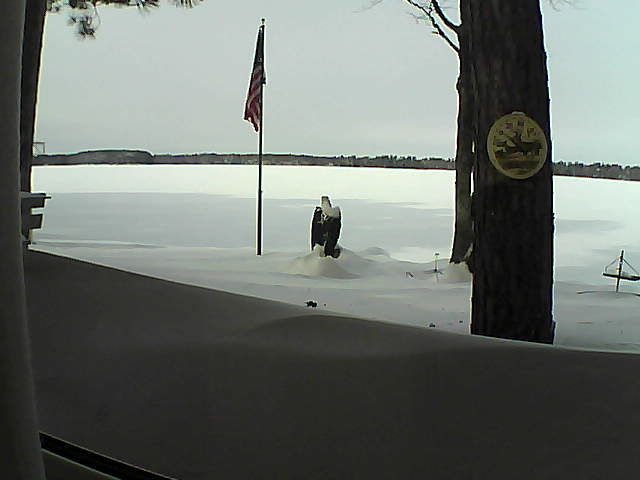 Whiteface Cam Image - Sat, 02/09/2019 11:45am 