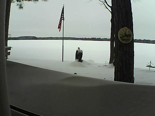 Whiteface Cam Image - Sat, 02/09/2019 12:45pm 