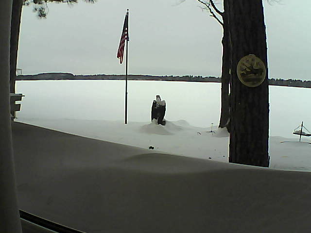 Whiteface Cam Image - Sat, 02/09/2019 12:55pm 