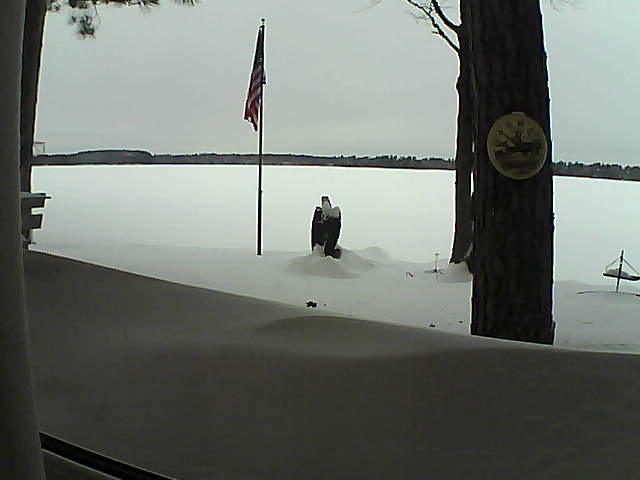 Whiteface Cam Image - Sat, 02/09/2019 1:05pm 